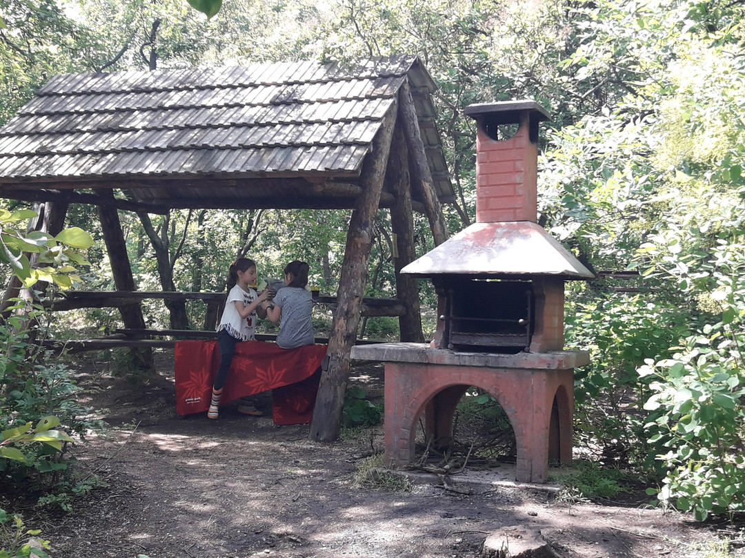 Ethno Park New Vasyuki-Molodizhne必去景点