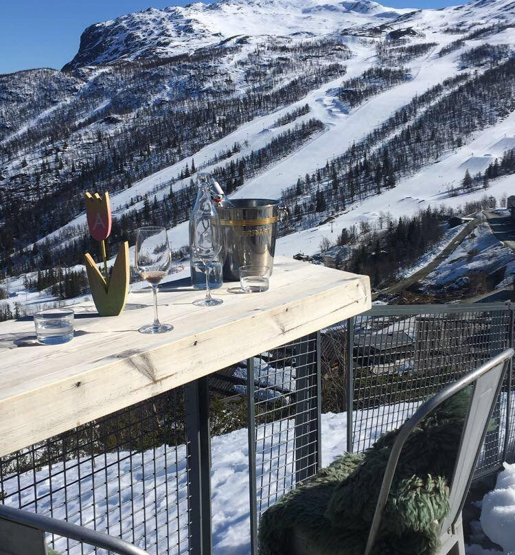 Skarsnuten Mountain Resort & Spa主图