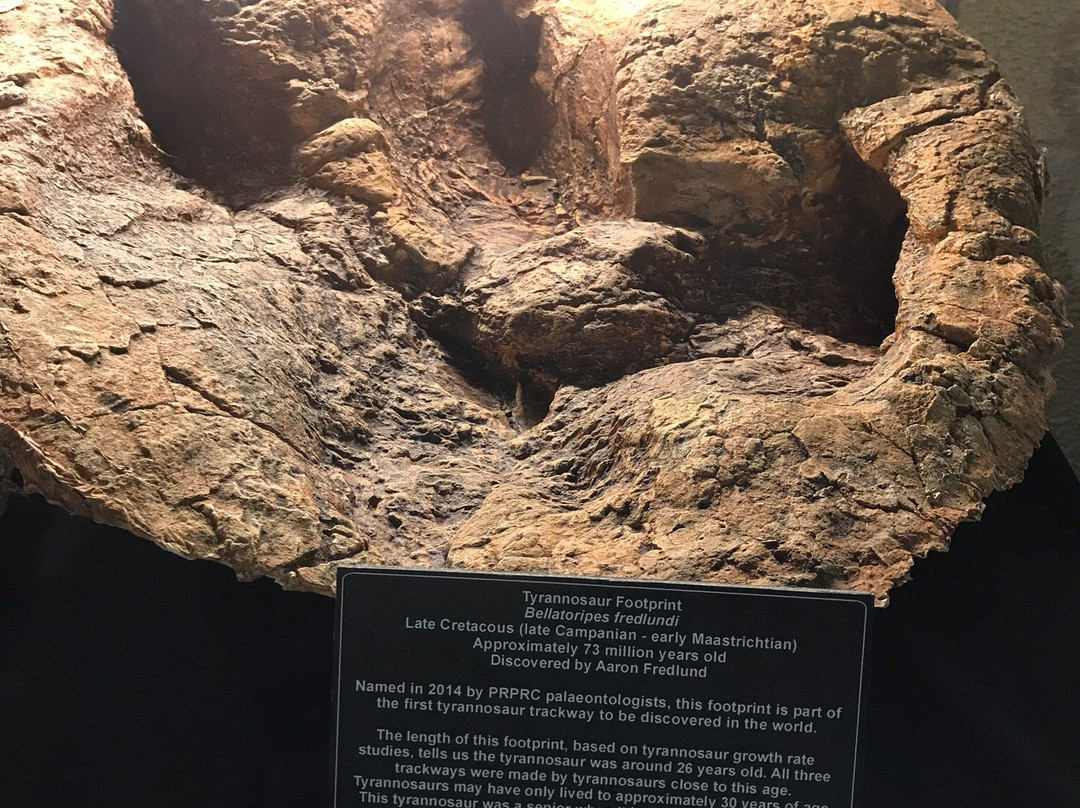 Tumbler Ridge Museum-Tumbler Ridge必去景点