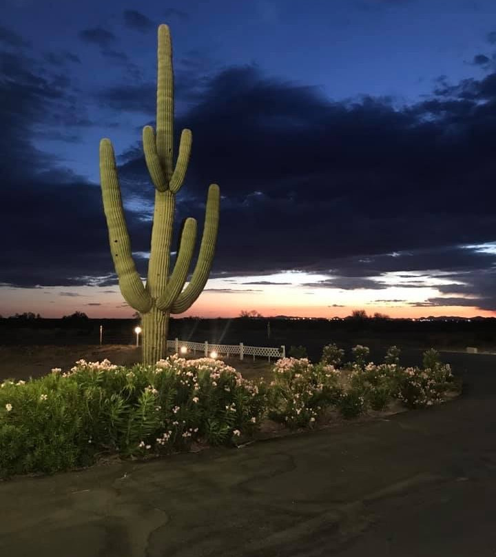 America's Choice Inn and Suites主图