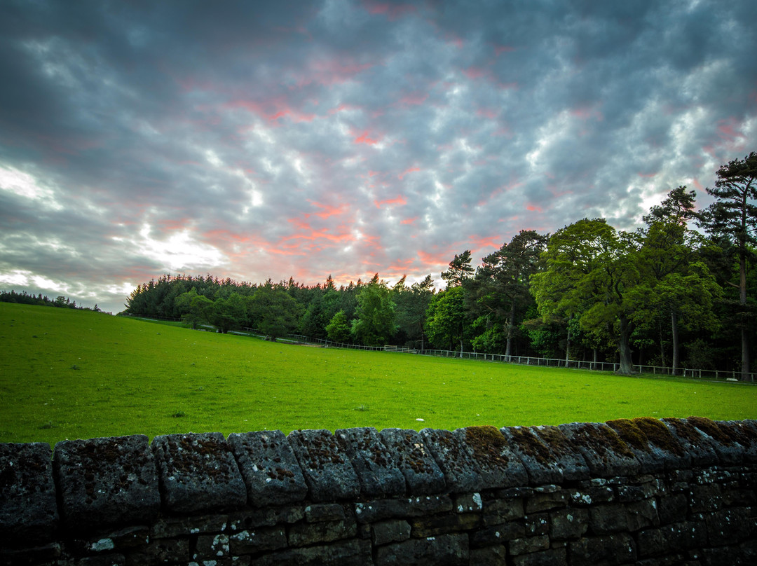 Tunstall Reservoir-Wolsingham必去景点