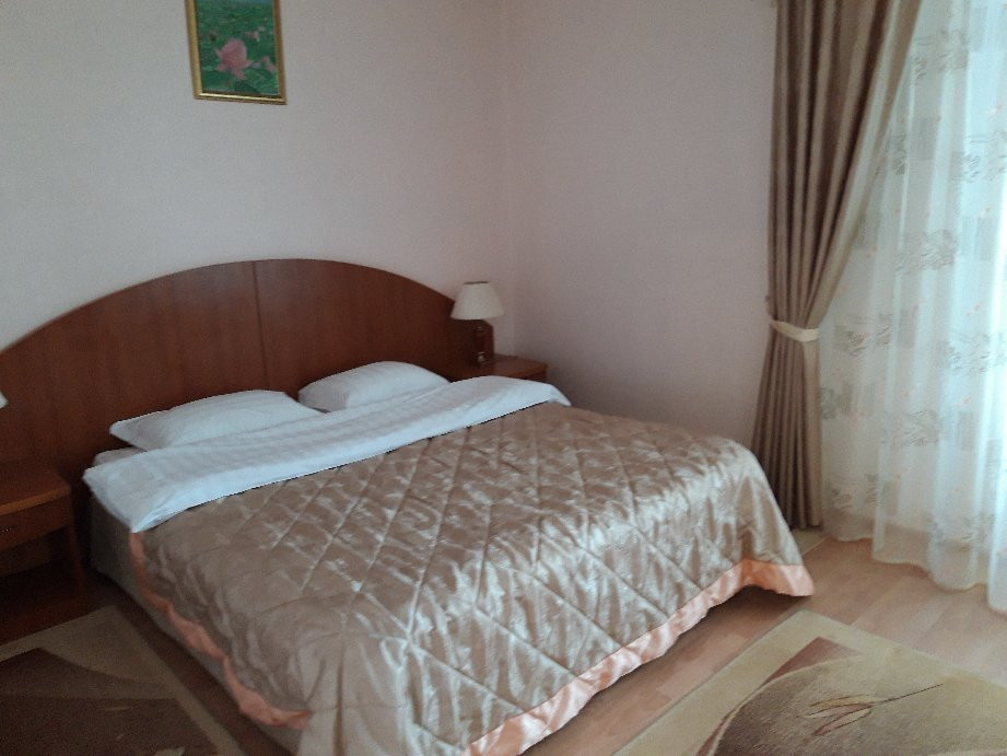 Hotel Ankor主图
