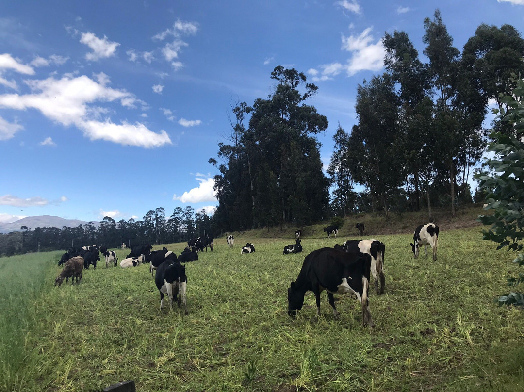 Hacienda Hosteria San Luis主图