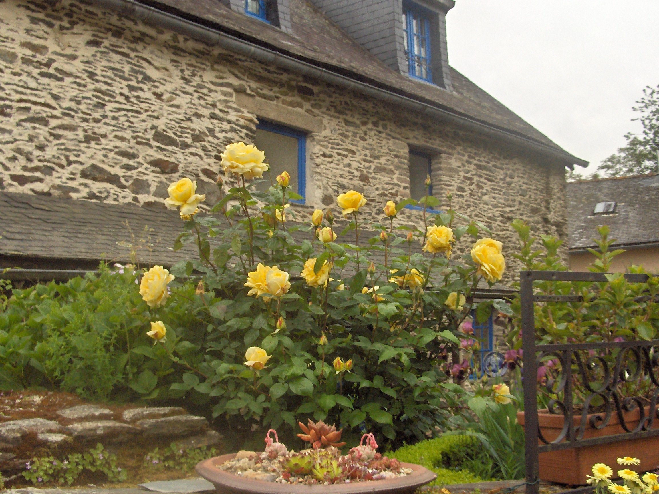 Maison de l'Oiseau-浴室