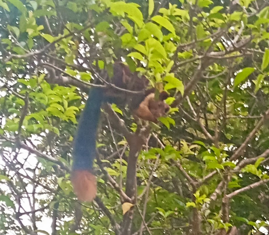 Abad Brookside Lakkidi主图