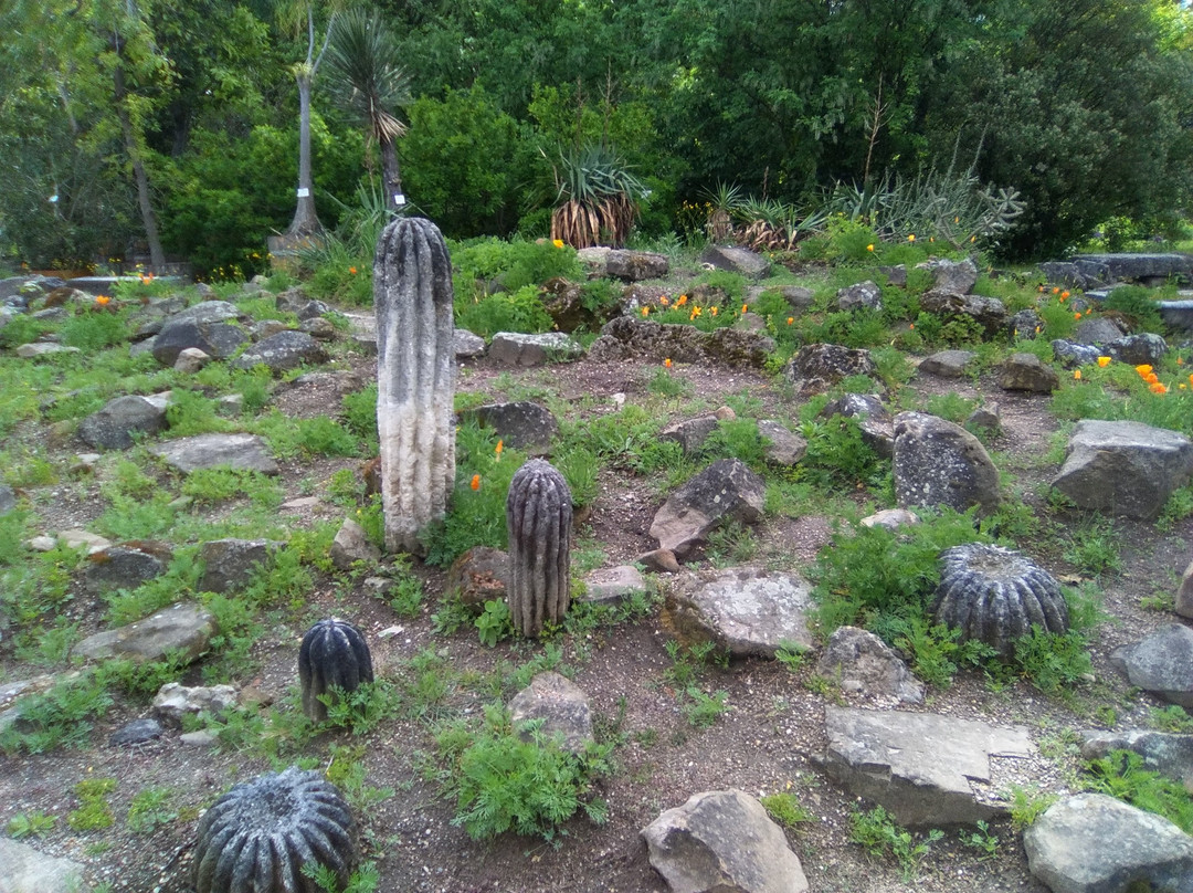 Botanischer Garten (Botanical Garden of the University of Vienna)景点图片