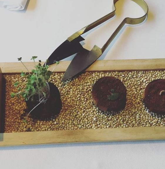 Sonnhof by Vitus Winkler主图