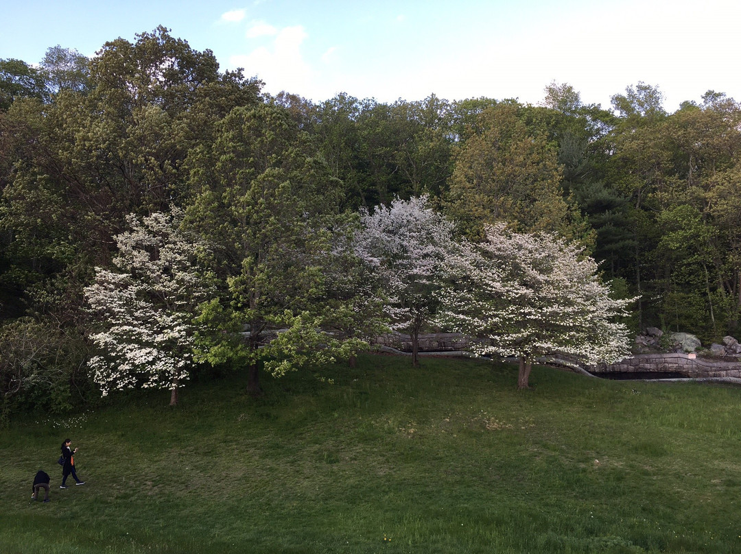 Hopkinton State Park景点图片