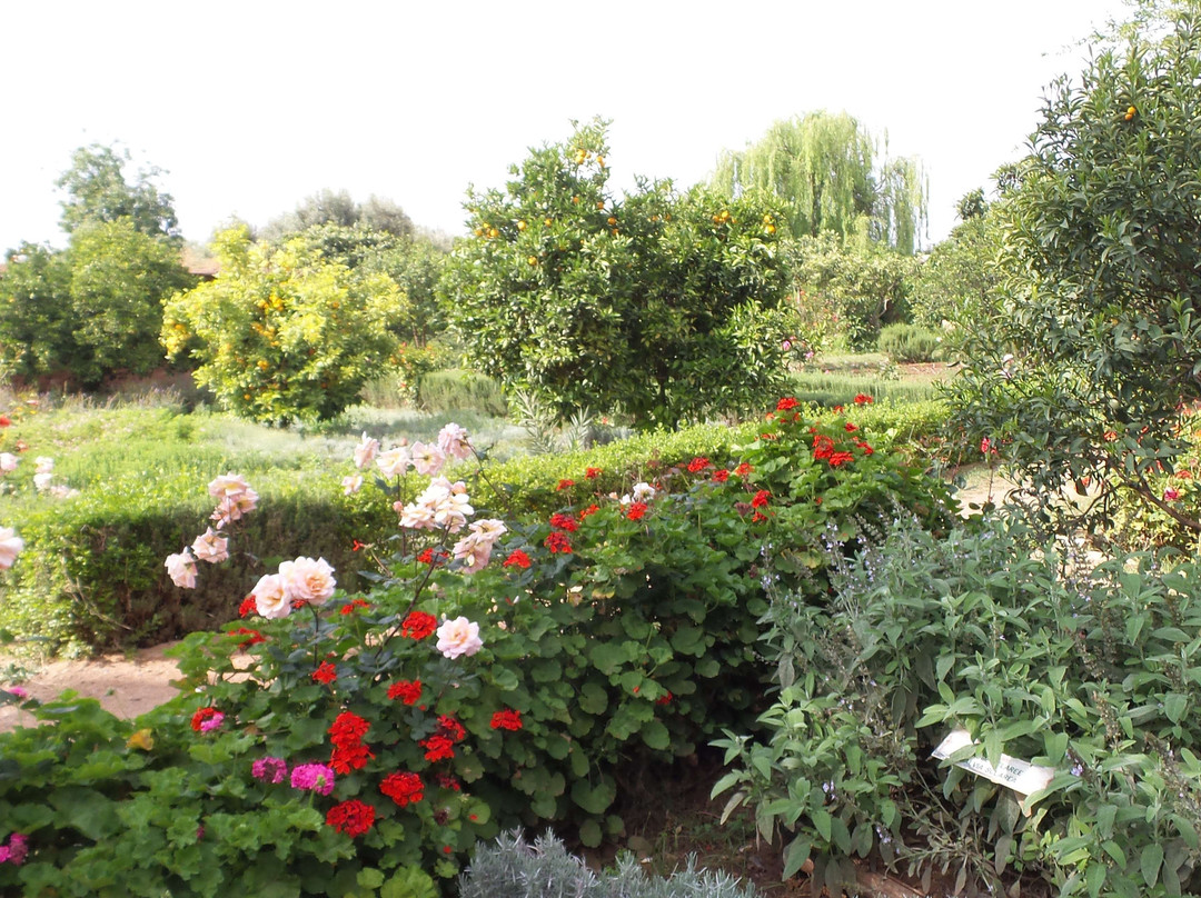 Le Jardin du safran景点图片