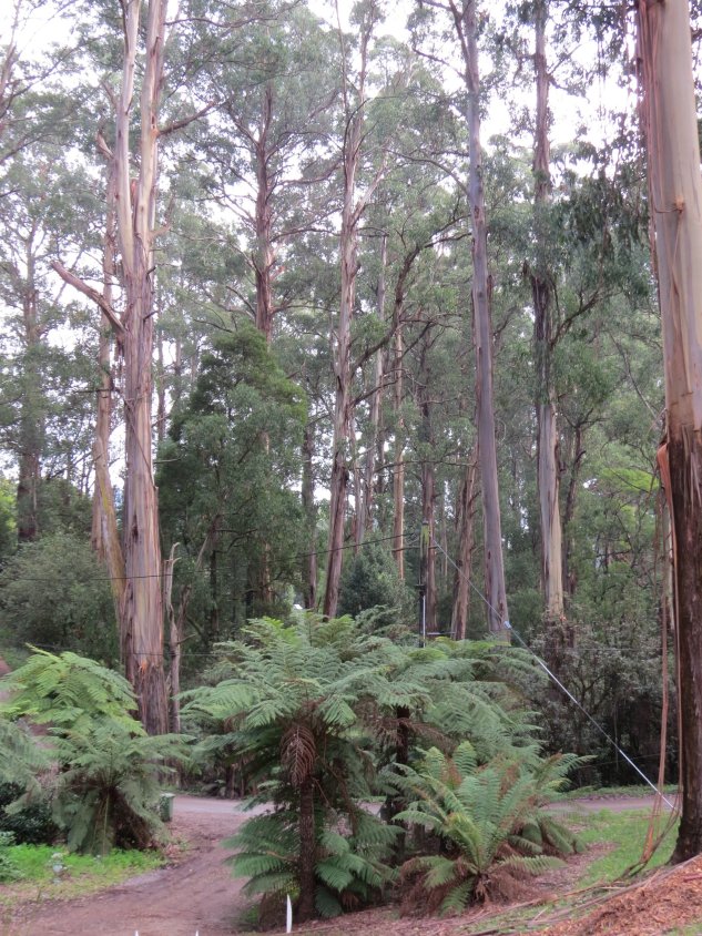 奥森达乡村小屋-浴室