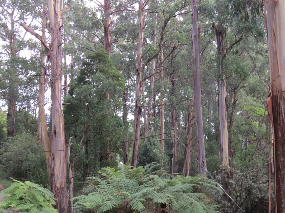 Olinda Country Cottages主图