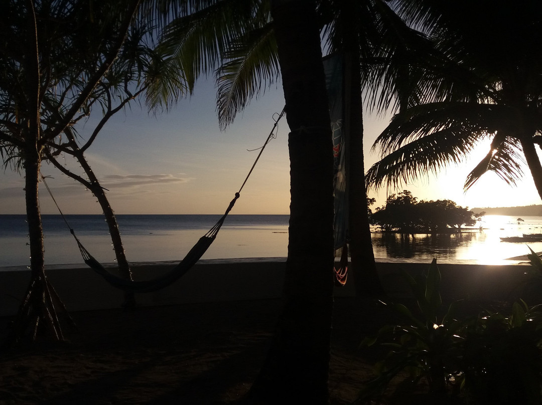 Southern Leyte Divers主图