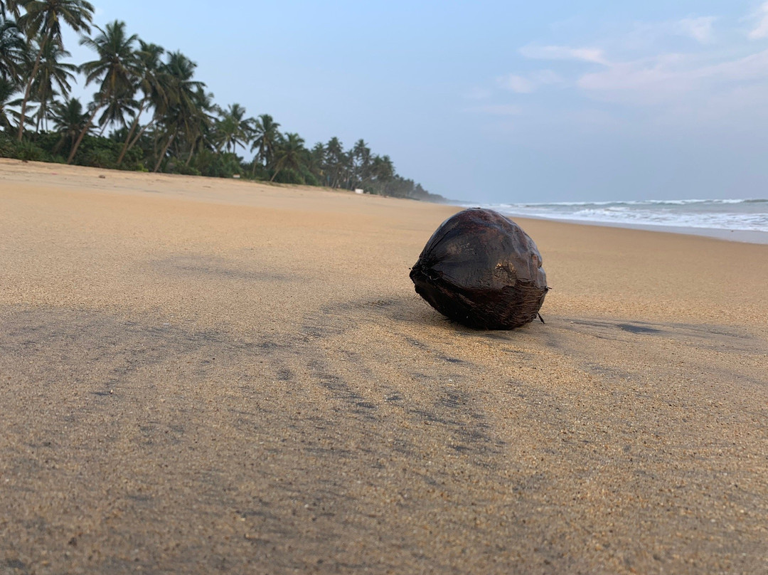 斯里兰卡茶委会销售中心-科伦坡必去景点