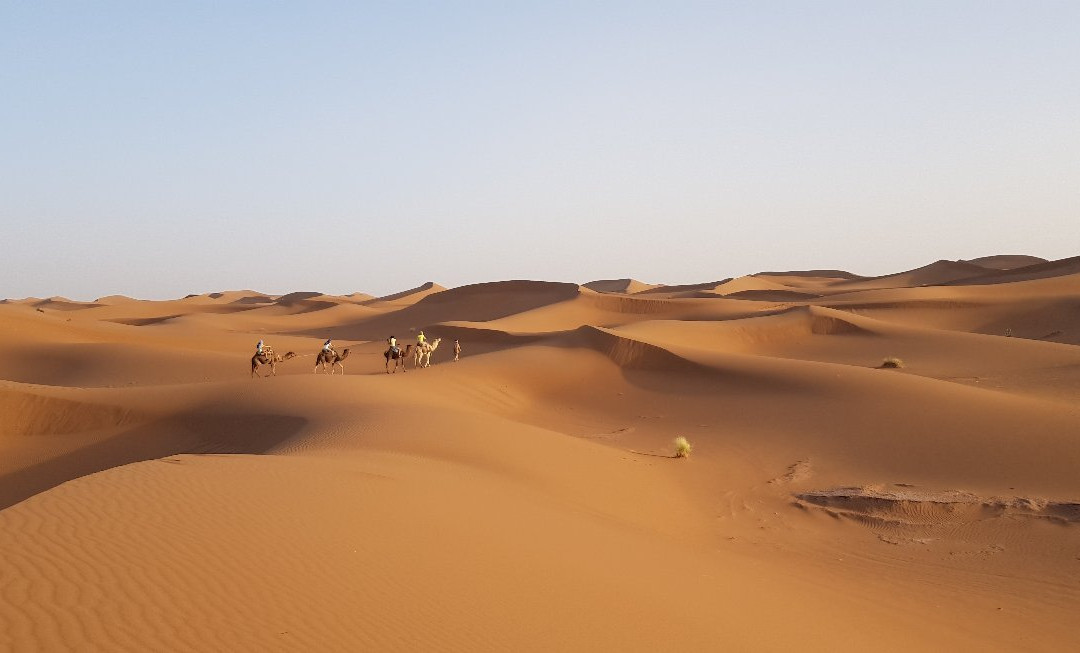 Sahara Feeling景点图片