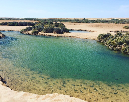 Dakhla Tours-达赫拉必去景点