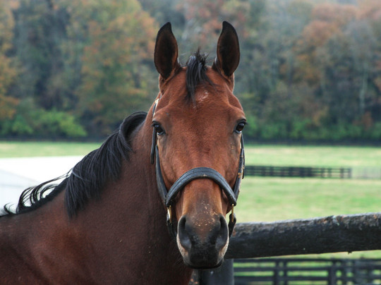 Keene Ridge Farm-列克星敦必去景点