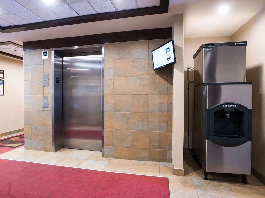 Quality Inn & Suites主图