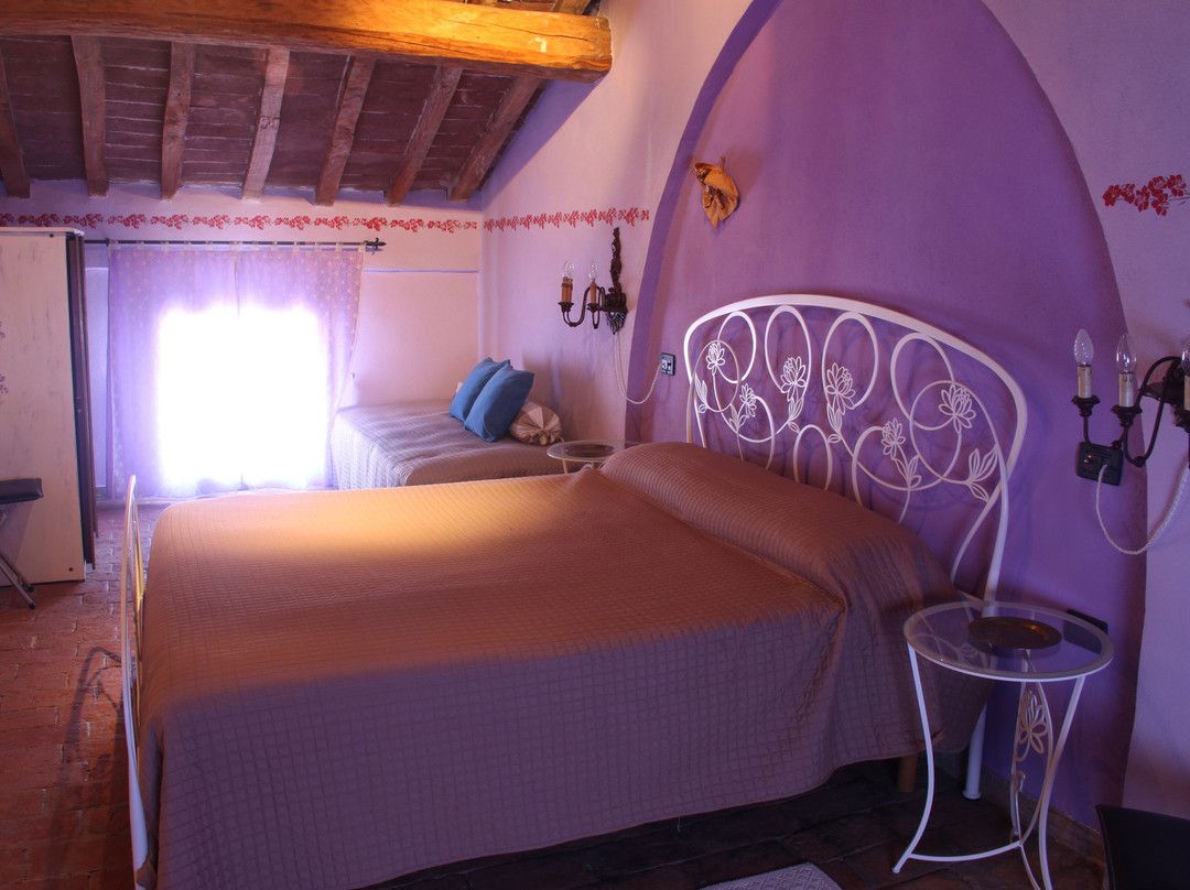 Bed and Breakfast Polirone主图