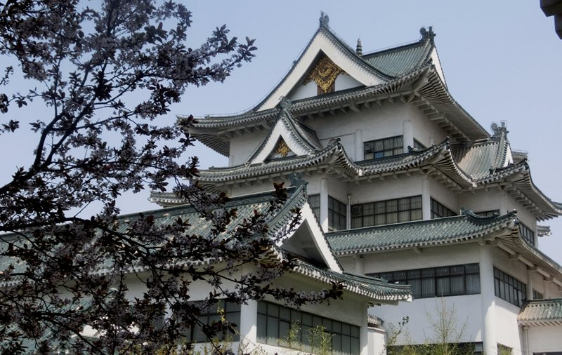 潍坊博物馆-潍坊市必去景点