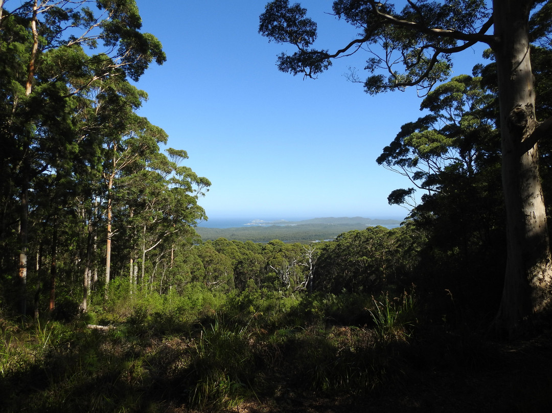 Walpole-Nornalup National Park景点图片