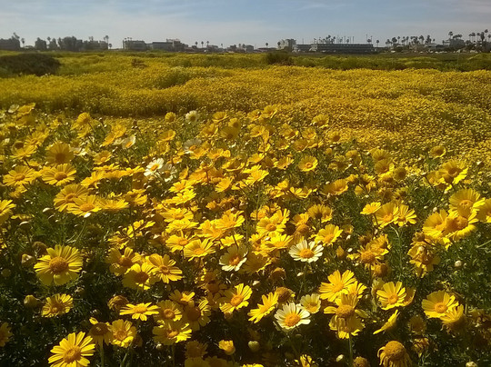 Tijuana River National Estuarine Research Reserve-Imperial Beach必去景点