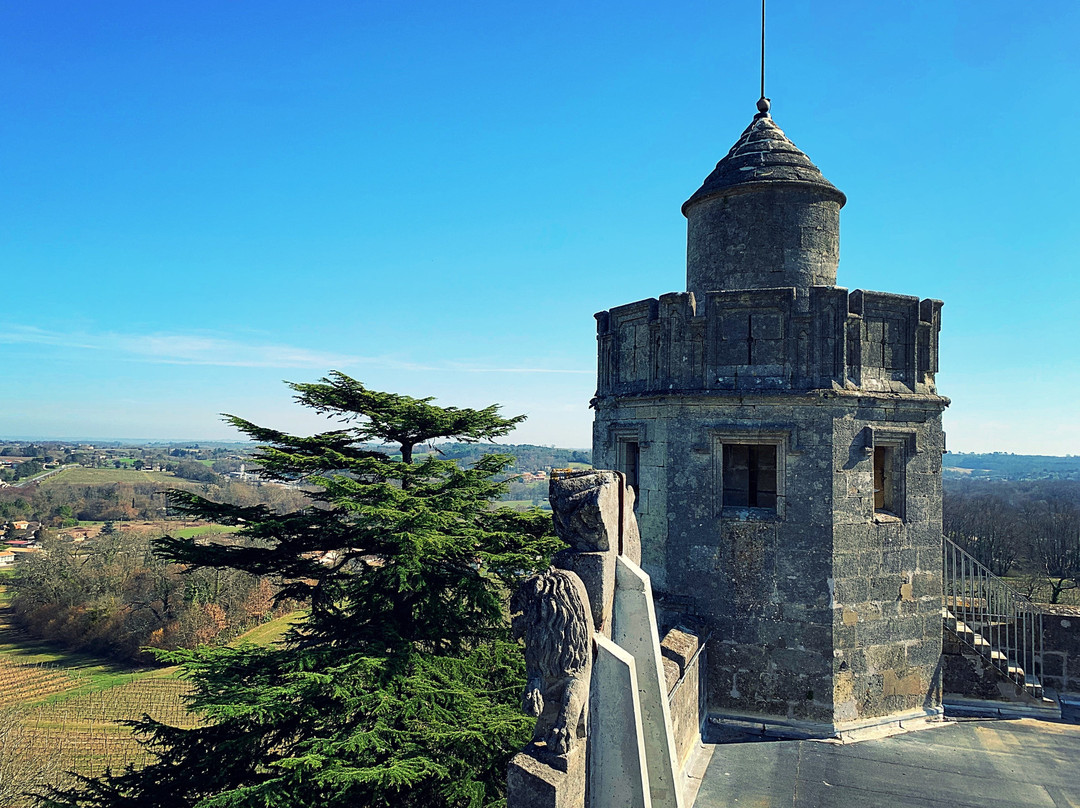 Chateau de Camarsac景点图片