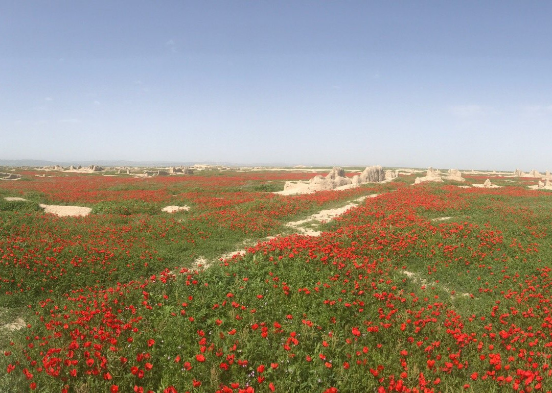 Abiverd Ruins-Kaakhka必去景点