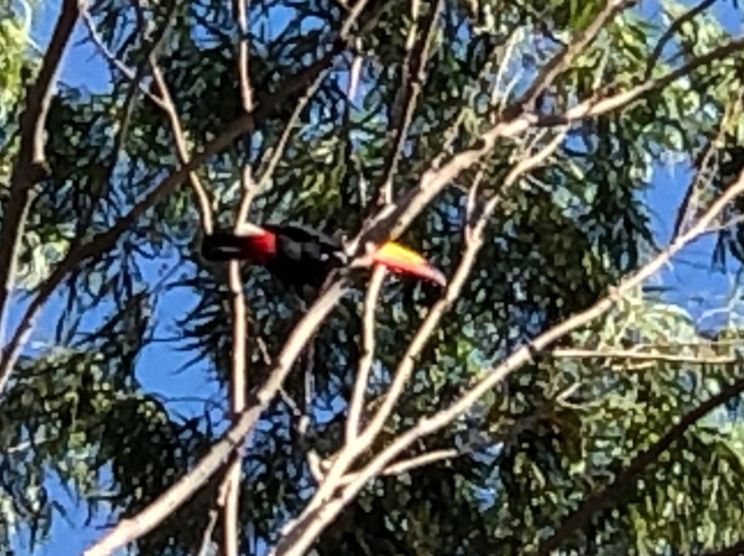 Pousada Marina do Farol主图