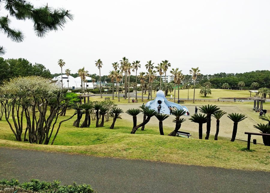 Tsujido Kaihin Park-藤泽市必去景点
