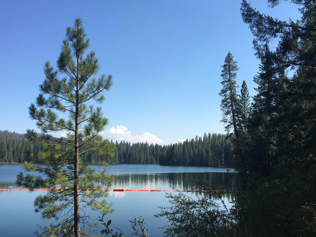 Tuolumne County-Yosemite景点图片