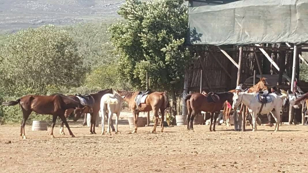 Gamka River Safari Co. - Day Rides-Calitzdorp必去景点