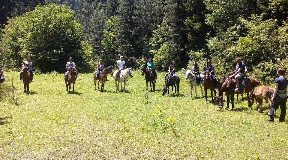 Borjomi horse tours景点图片