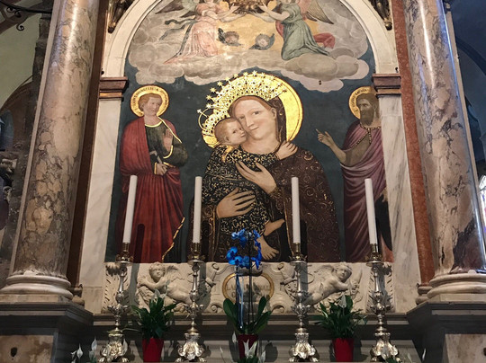 Tui Musement Padua-帕多瓦必去景点