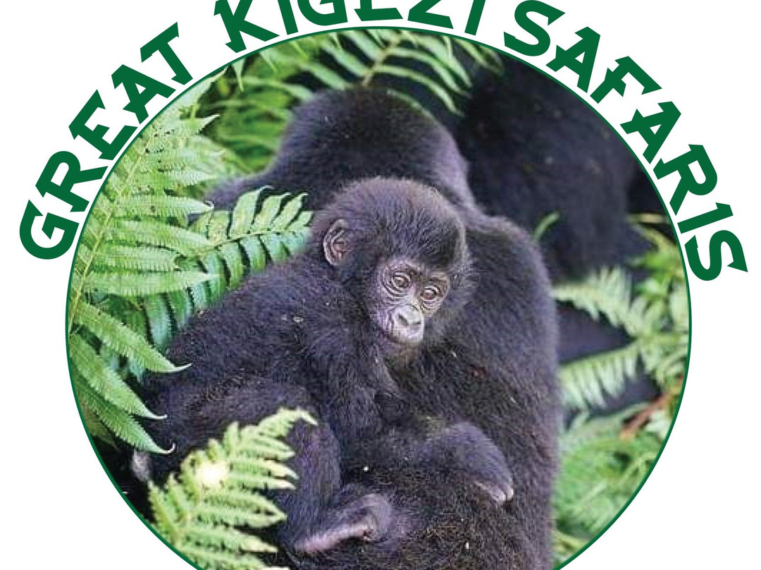 Kigezi Vima Safaris景点图片