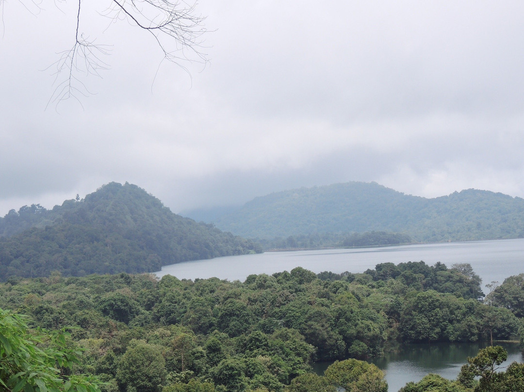 Indira Gandhi Wildlife Sanctuary and National Park景点图片