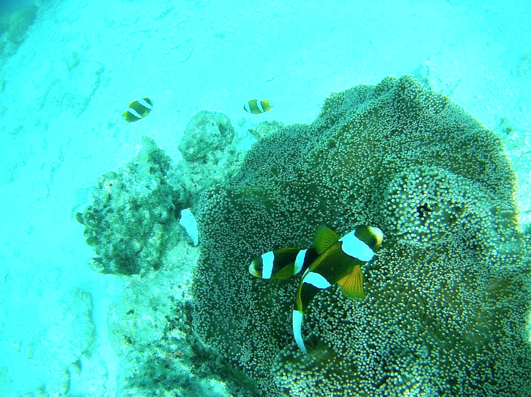 凯恩斯地区旅游攻略图片