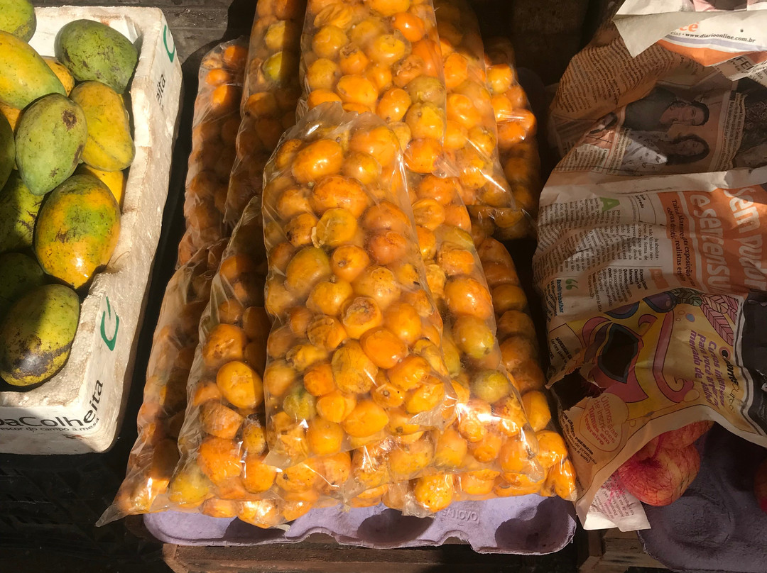 Mercado Ver-o-Peso-贝伦必去景点