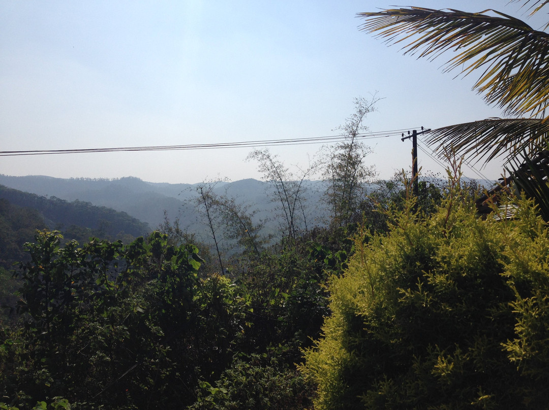 Cassells Resorts主图