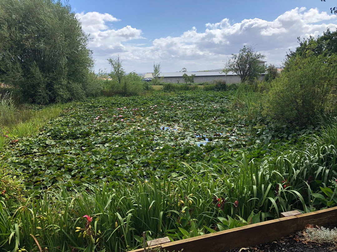 Yarra Yering-Gruyere必去景点