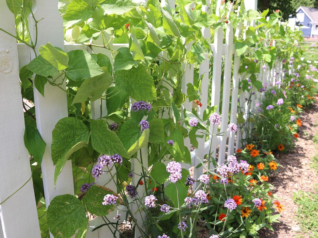 Mill Race Village-诺斯维尔必去景点