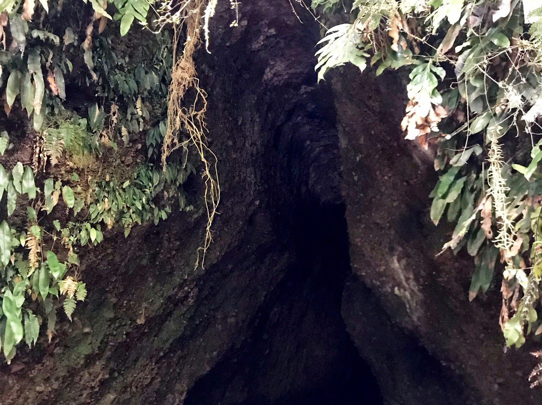 西部野外探险之旅景点图片