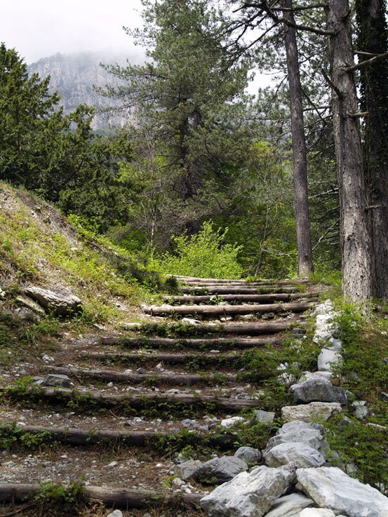 Mountain Trail Litochoro - Prionia景点图片