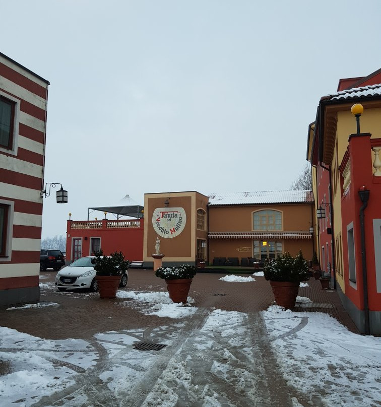 Tenuta Del Vecchio Mulino主图