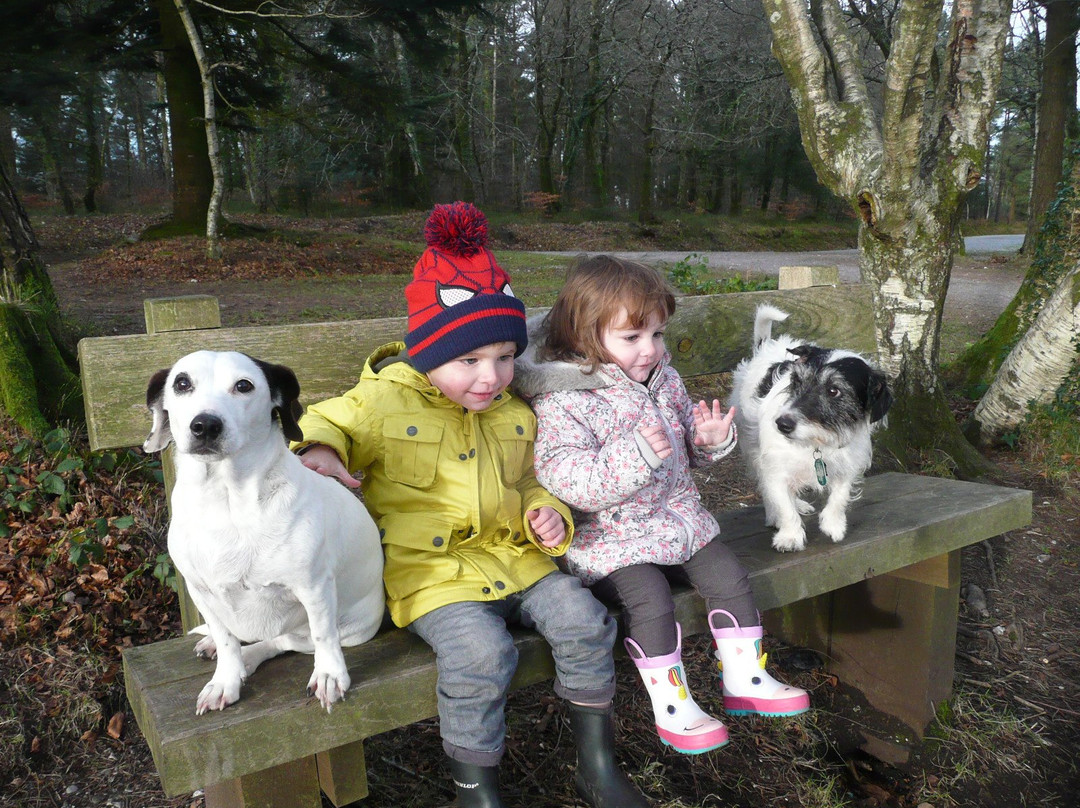 Mamhead-道利什必去景点