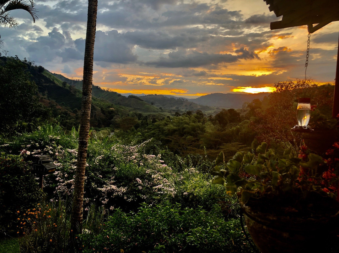 Hacienda Venecia Coffee Farm主图