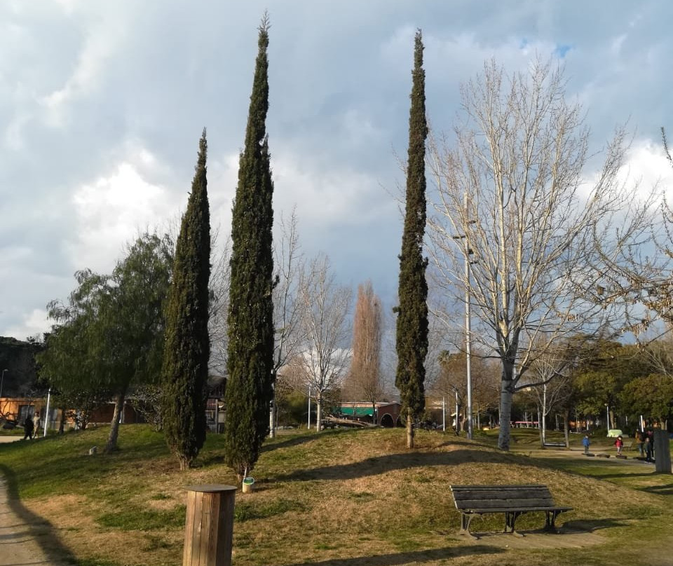 Parc Francesc Macia景点图片