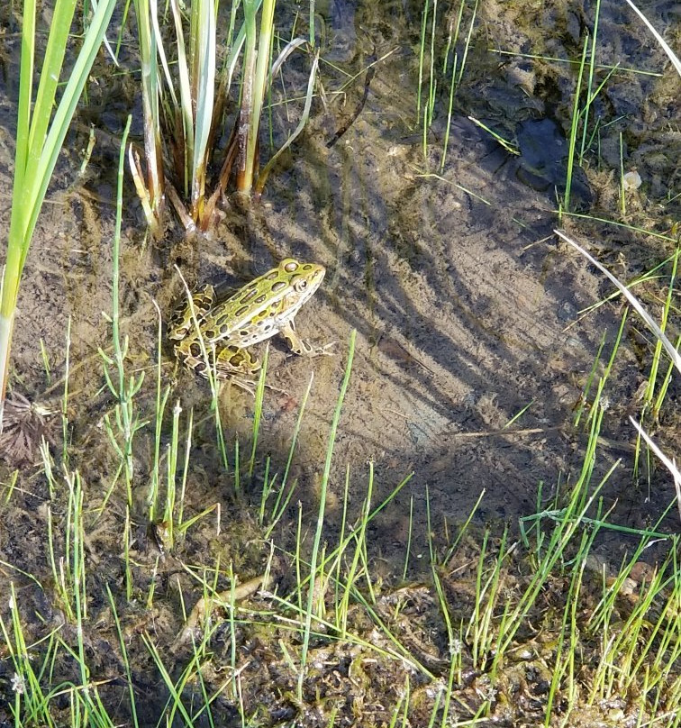 La Salle Lake State Recreation Area-Solway必去景点
