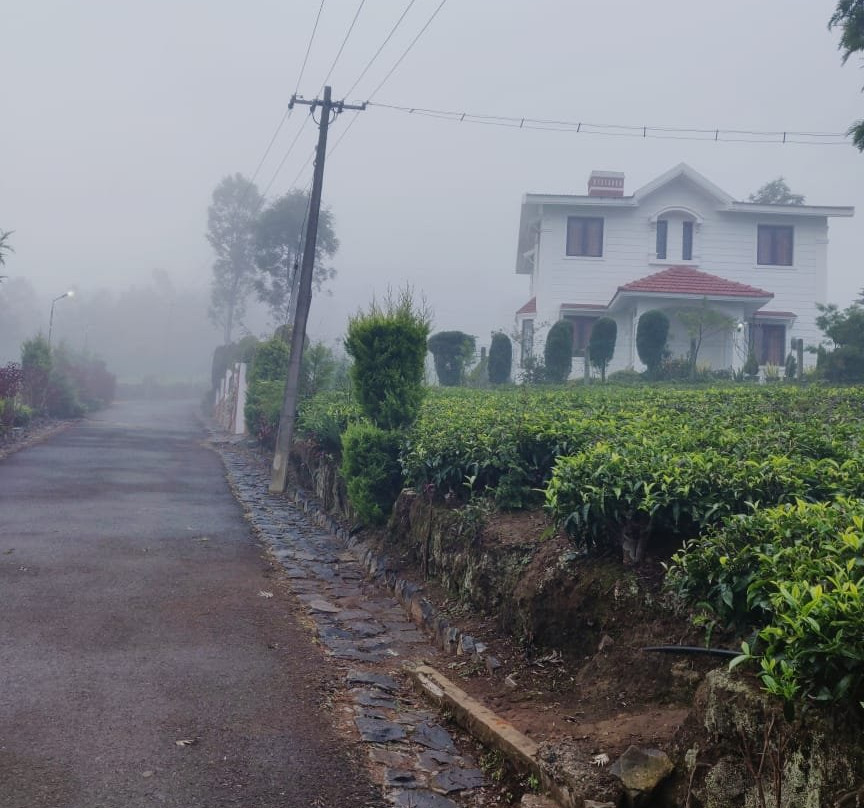 Trilan Cottages主图