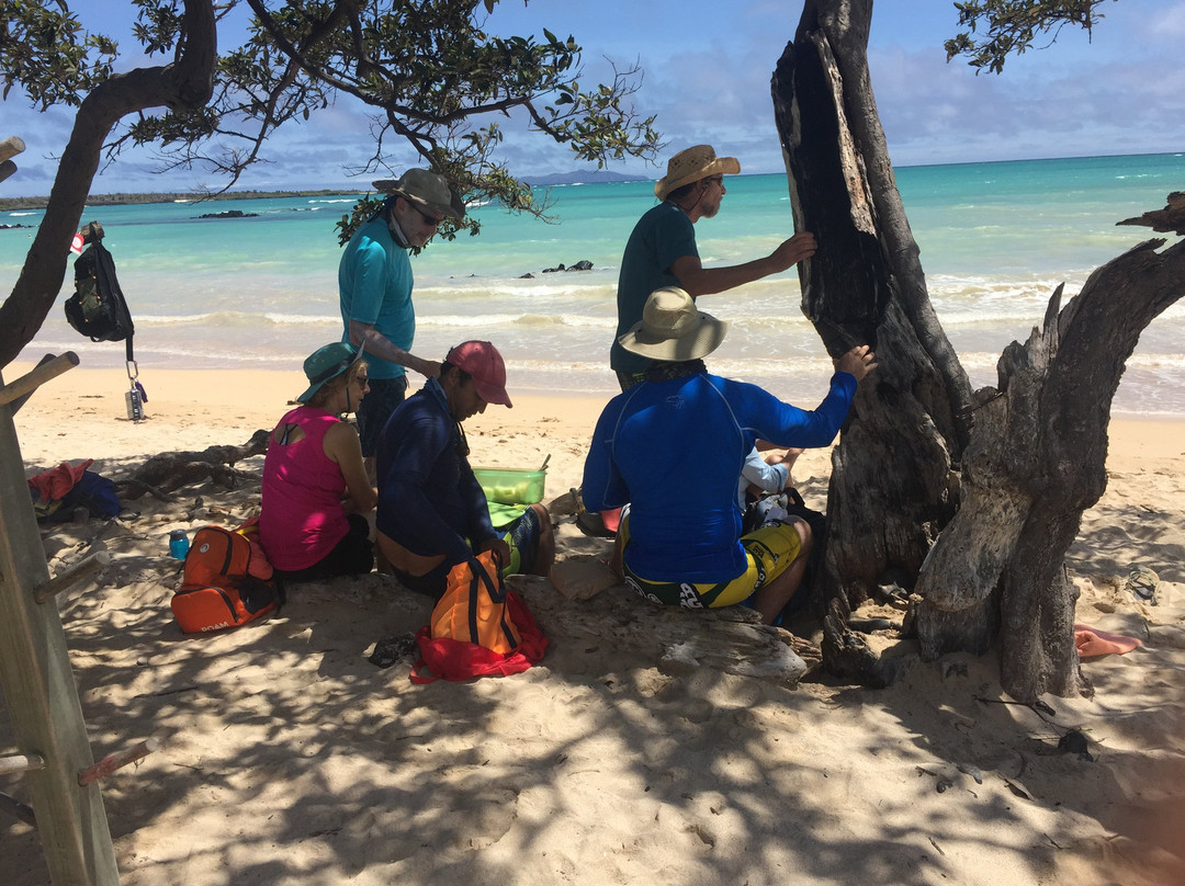 Galapagos Unbound-圣克鲁斯必去景点