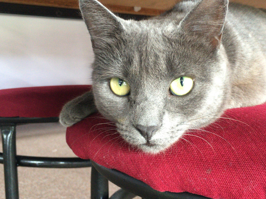 卡维斯汽车旅馆主图